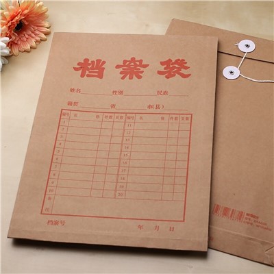 晨光(M&G) APYRAB13 文件袋 1個(gè)裝A4/2.7cm 牛皮紙檔案袋 經(jīng)濟(jì)款文件袋資料袋 標(biāo)書(shū)合同文件整理收納袋